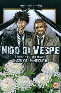 Nido di Vespe