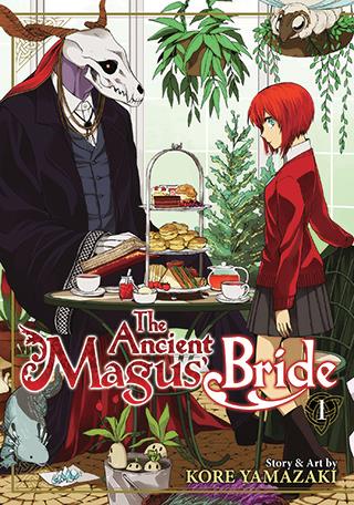 The ancient magus bride bundle