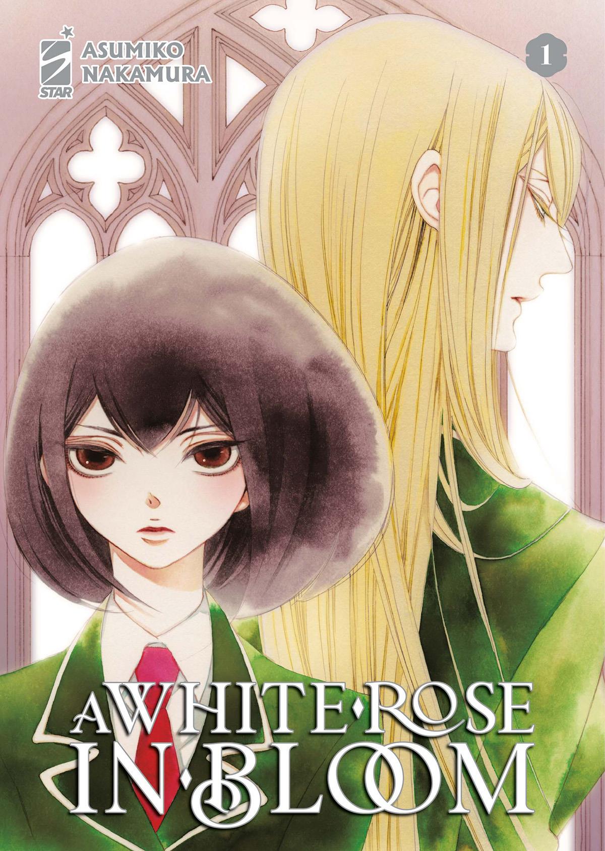 A white rose in bloom