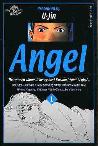 Angel Vol. 1