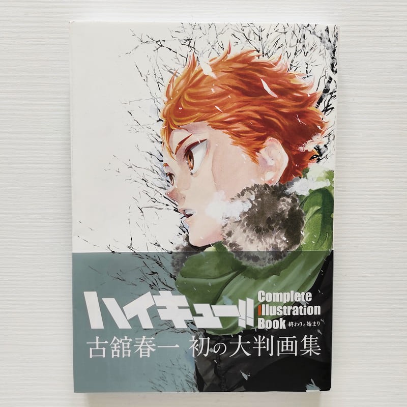 HAIKYUU!! - Complete Illustration Book (Japan Version)