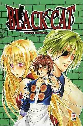 Black cat Vol. 6