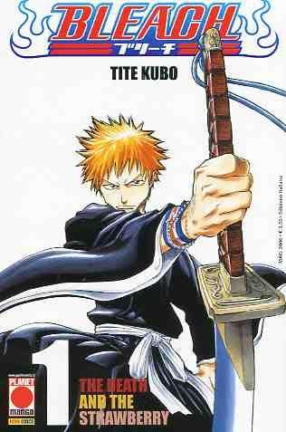 Bleach Vol. 1