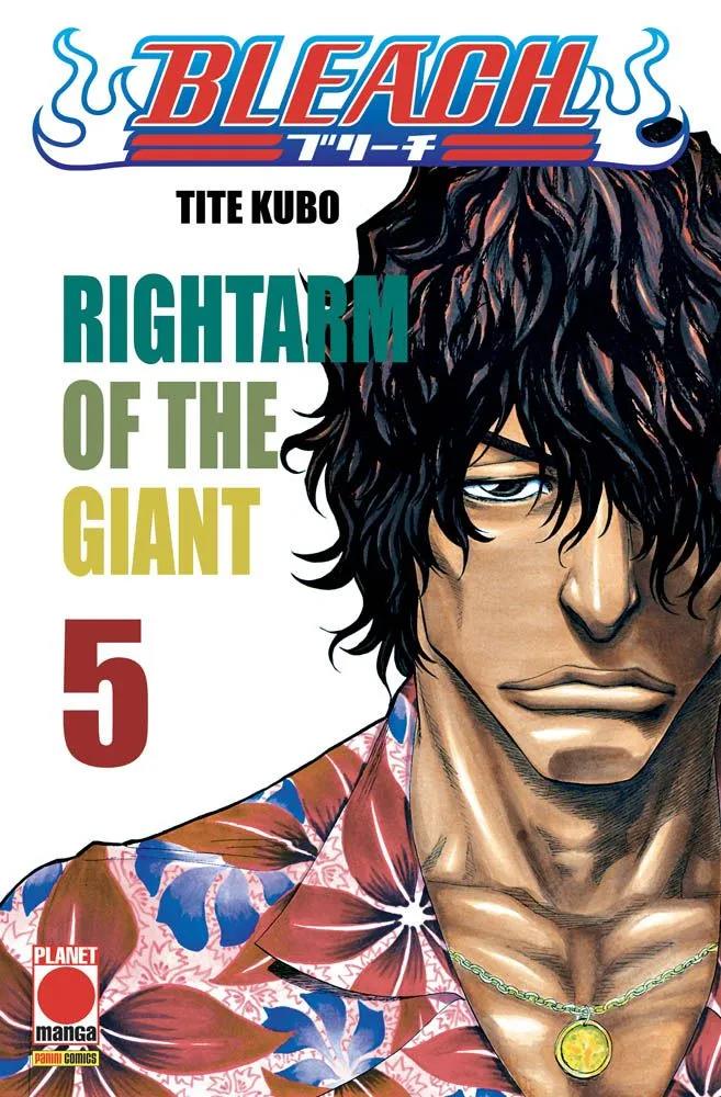 Bleach Vol. 5
