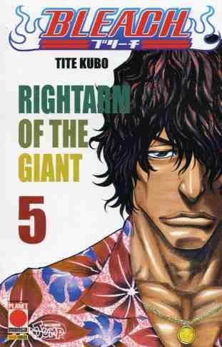 Bleach Vol. 5