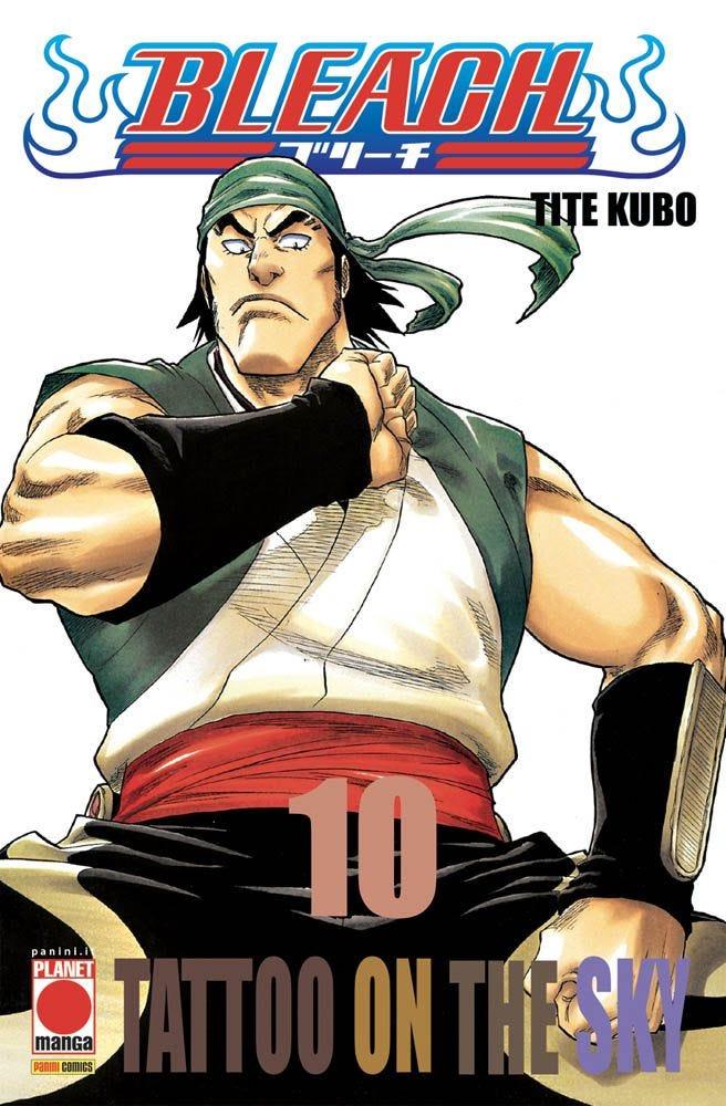 Bleach Vol. 10