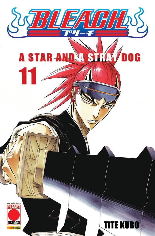 Bleach Vol. 11