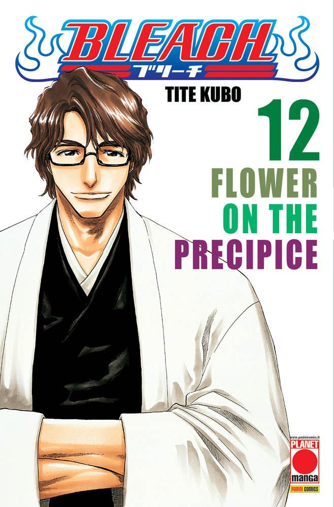 Bleach Vol. 12