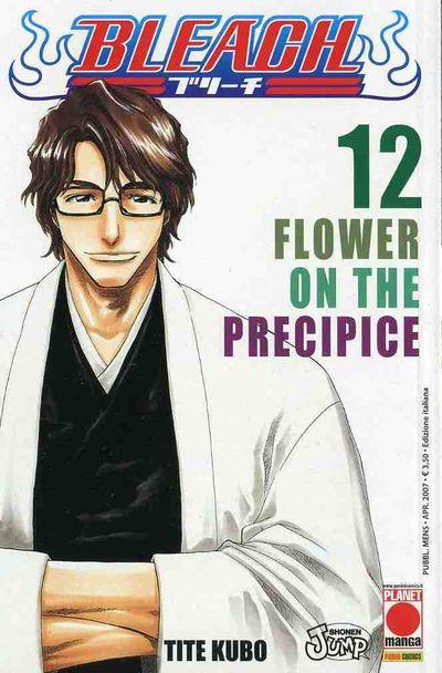Bleach Vol. 12