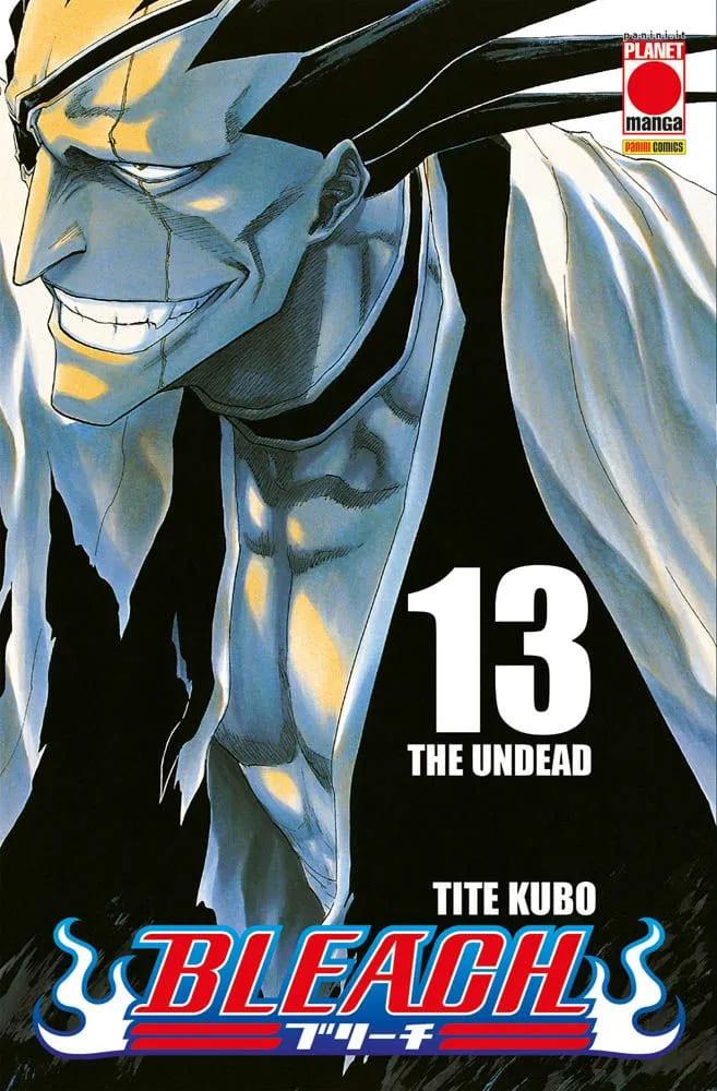 Bleach Vol. 13