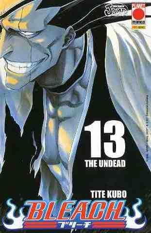 Bleach Vol. 13