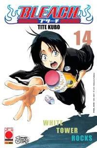 Bleach Vol. 14