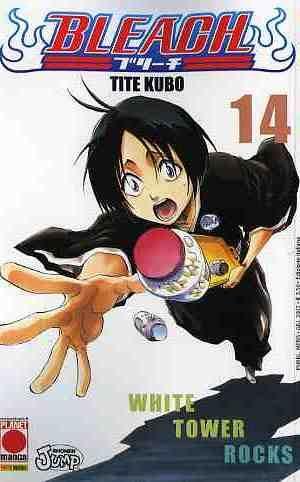 Bleach Vol. 14