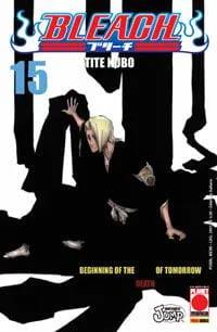 Bleach Vol. 15