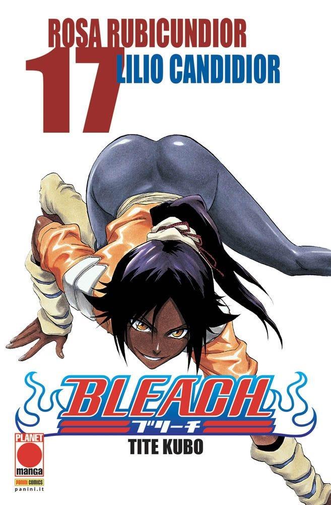 Bleach Vol. 17