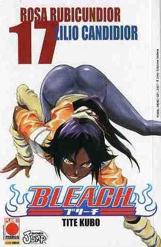 Bleach Vol. 17