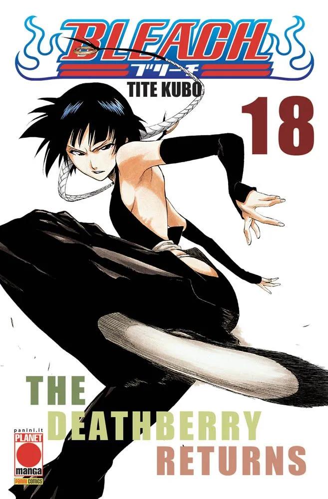 Bleach Vol. 18