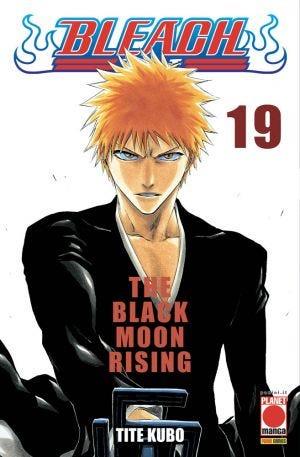 Bleach Vol. 19