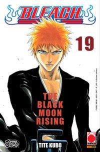 Bleach Vol. 19