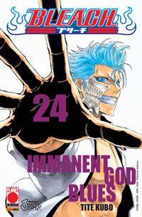 Bleach Vol. 24