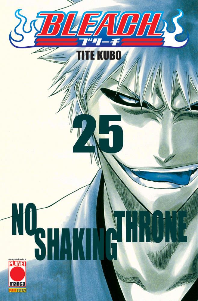 Bleach Vol. 25