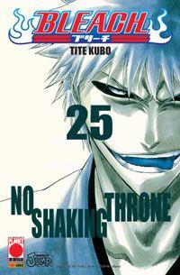 Bleach Vol. 25