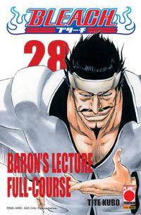 Bleach Vol. 28