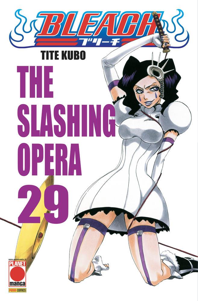 Bleach Vol. 29