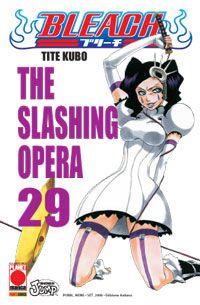 Bleach Vol. 29