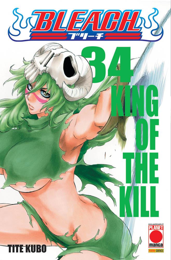 Bleach Vol. 34
