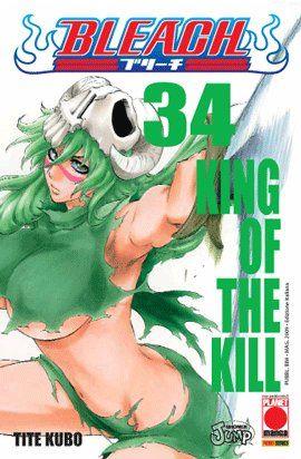 Bleach Vol. 34