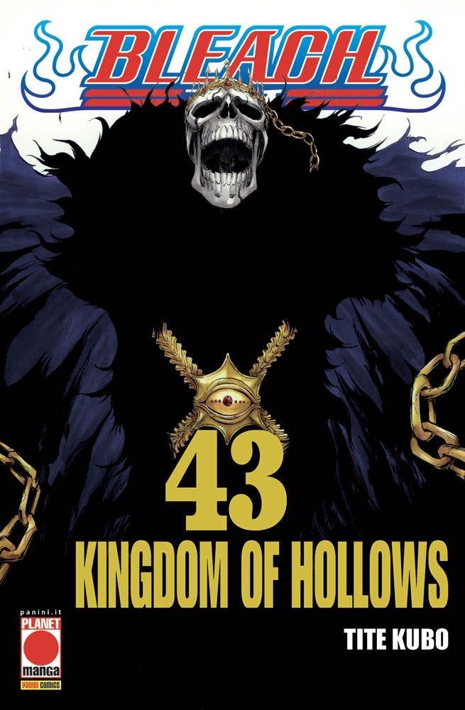 Bleach Vol. 43