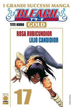 Bleach - Gold Vol. 17
