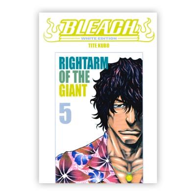Bleach - White edition Vol. 5