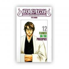 Bleach - White edition Vol. 12