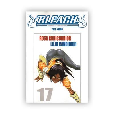 Bleach - White edition Vol. 17