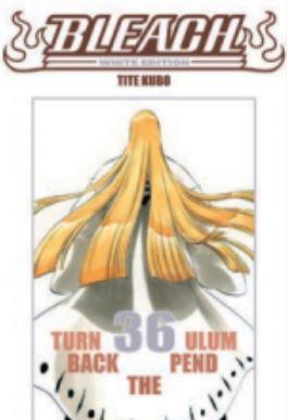 Bleach - White edition Vol. 36
