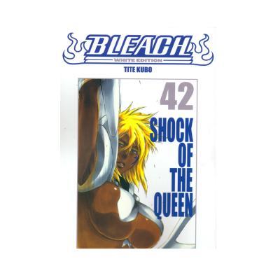 Bleach - White edition Vol. 42
