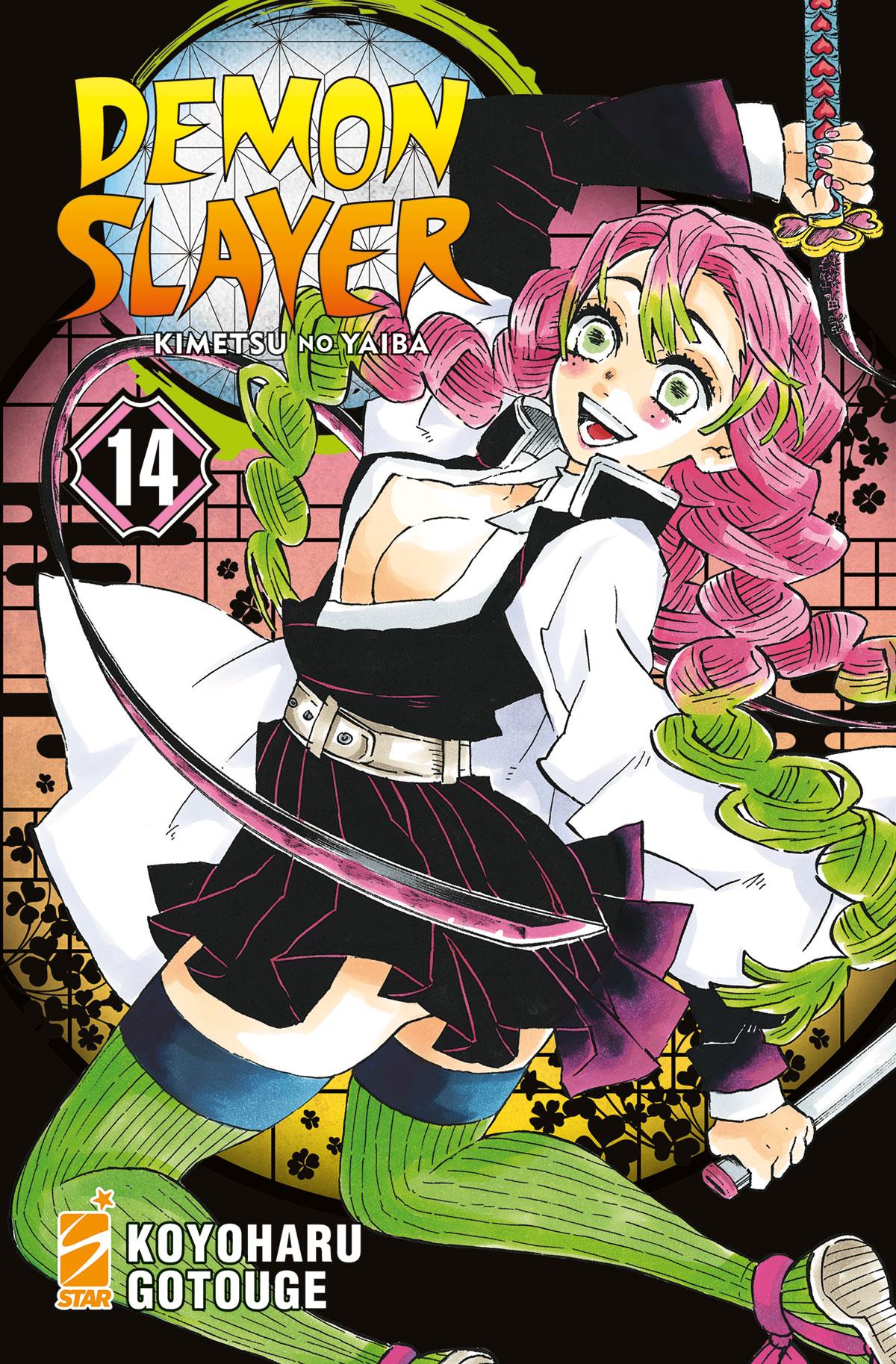Demon slayer kimetsu no Yaiba Vol. 14