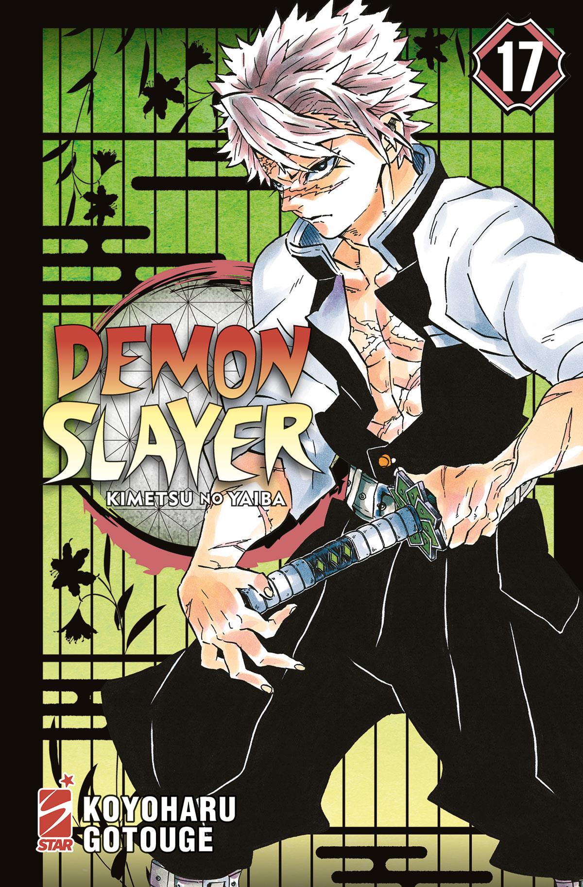Demon slayer kimetsu no Yaiba Vol. 17