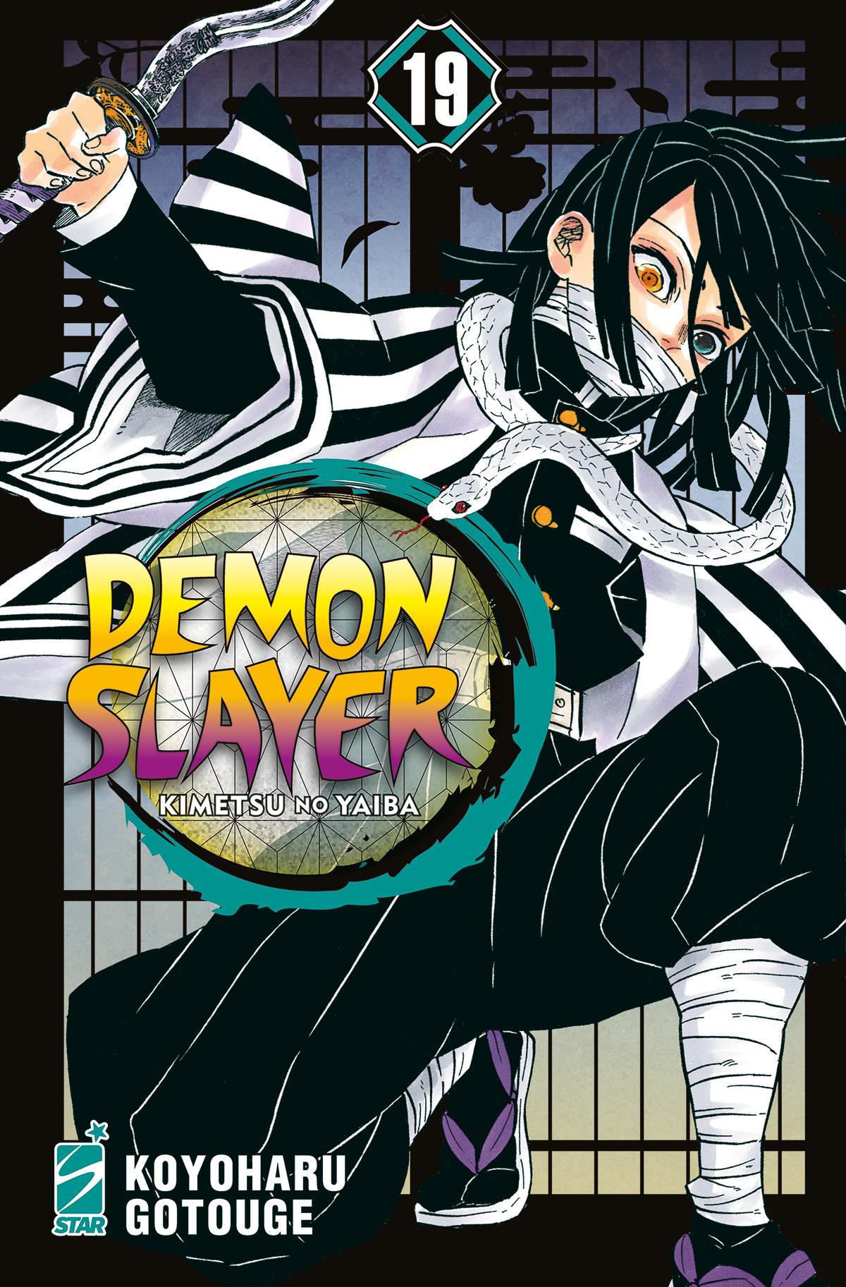 Demon slayer kimetsu no Yaiba Vol. 19