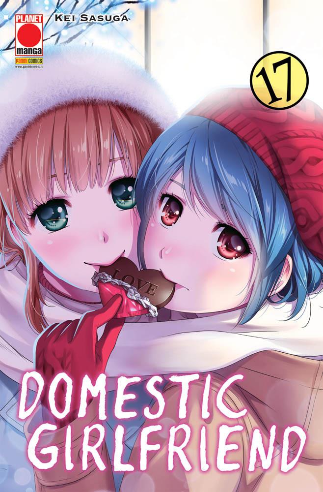 Domestic girlfriend Vol. 17