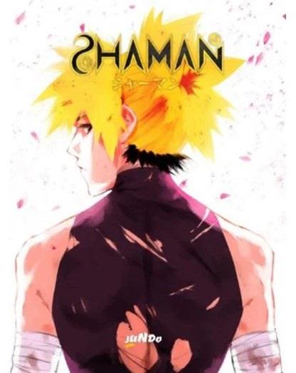 Shaman Vol. 2