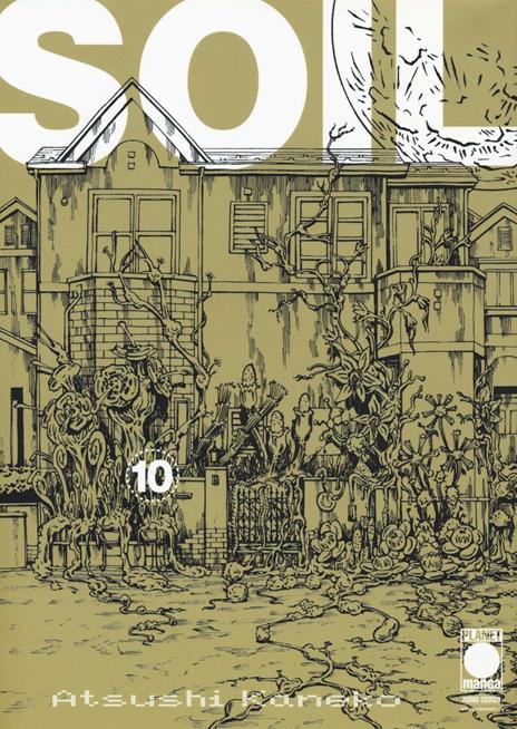 Soil Vol. 10