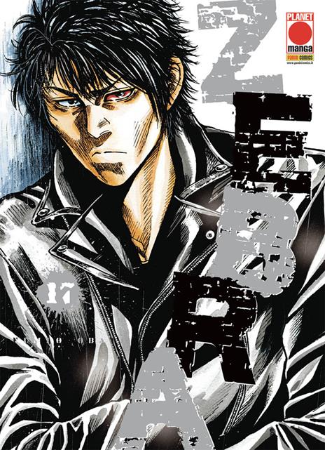 Zebra Vol. 17