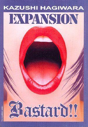 Bastard!! Expansion