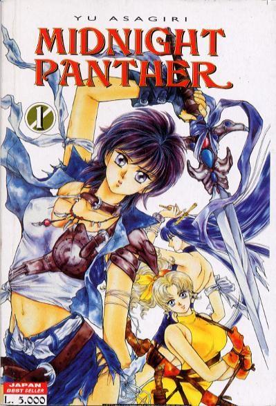 Midnight panther